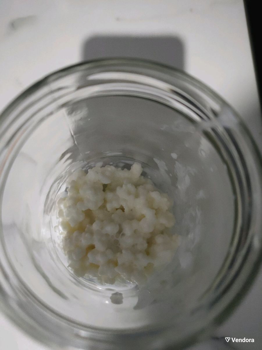 OrganicKefir