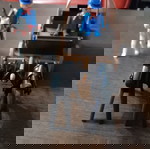  Playmobil