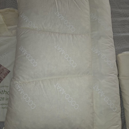 Cocomat Sithon I pillows new, pack of 2, natural rubber