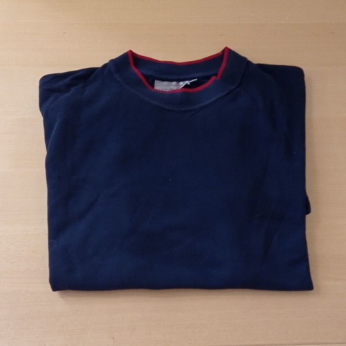 The Bostonians men's t shirt used, size M, blue
