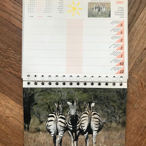 Calendar 1995 used, South Africa - A world in one country retro
