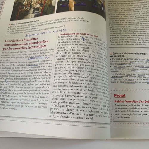 Dalf C2 Tendances French book like new