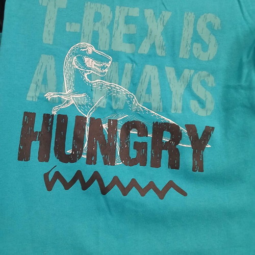Lupilu T-Rex shirt used, size 116 cm, blue