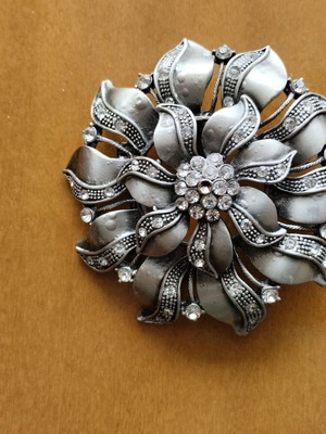 Belt accessory new