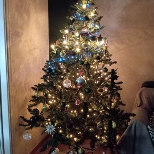Christmas tree used, height 1.90 m, 3 pieces