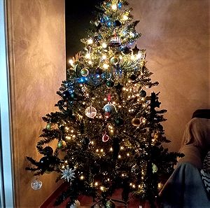Χριστουγεννιάτικο δέντρο