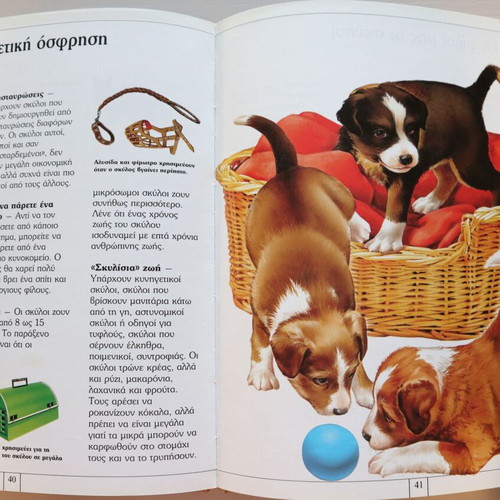 Children's Encyclopedia Animals of the Village and the City used