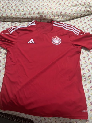 Olympiacos Training Shirt used, size L, authentic