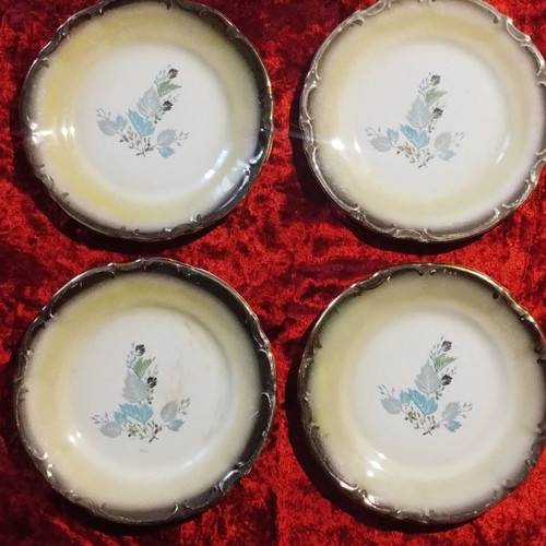 Dishes used, pack of 4, Austrian porcelain from the 1950s