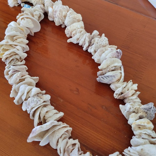 Worry beads made of natural shells handmade