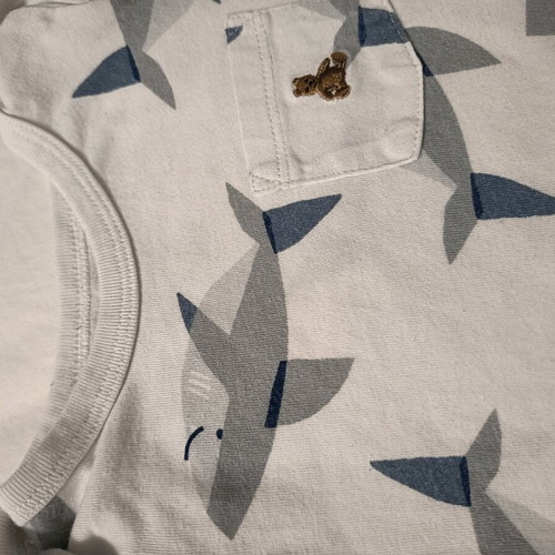 Set of 2 used short-sleeve bodysuits up to 18m Gap white and blue