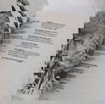  ΒΙΒΛΙΑ ΠΕΡΙΟΔΙΚΑ ΕΛΛΗΝΩΝ ΙΣΤΟΡΙΚΑ ΤΟ ΟΧΙ ΚΑΙ Ο ΜΕΤΑΞΑΣ ΤΕΥΧΟΣ 17 ΕΚΓ