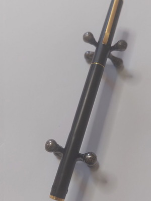 Aurora Hastil pen used