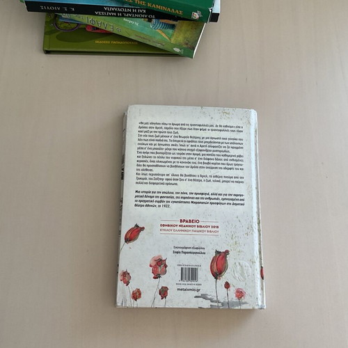 The Boy in the Balcony book for teenagers