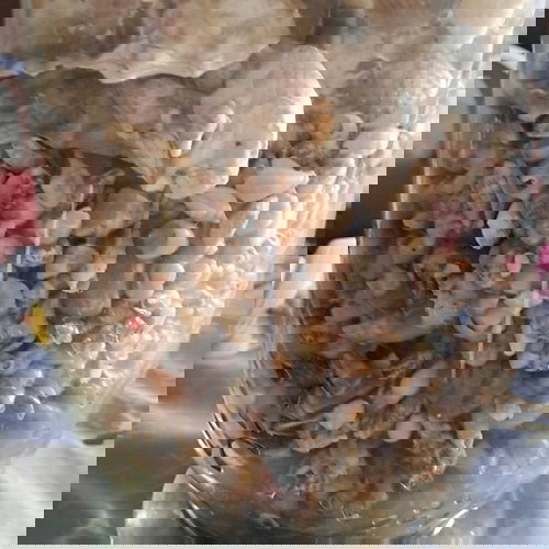 Βάζο με κοχυλάκια και αληθινά κοχύλια σε άριστη κατάσταση