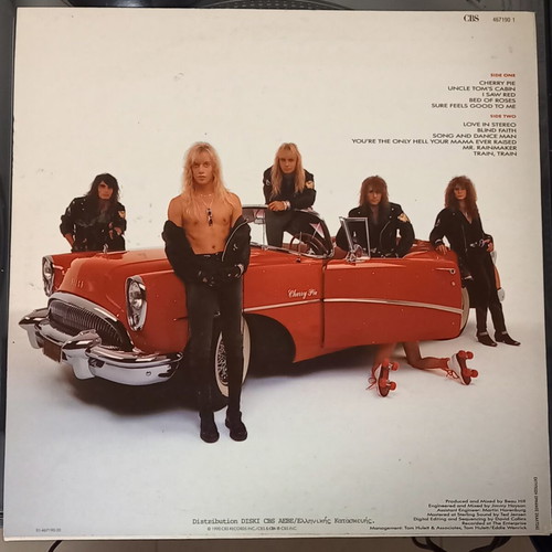 Warrant Cherry Pie vinyl used, rock