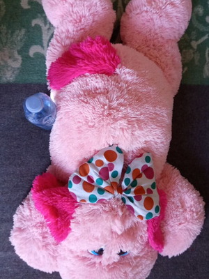 Kids XXL Set with Giant Plush Dog and Flower Floor Pillow like new
