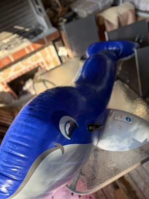 Inflatable dolphin float, blue, with side handles