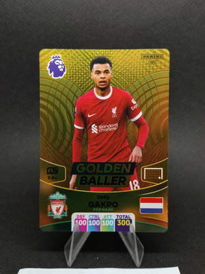 Συλλεκτική κάρτα Cody Gakpo Golden Baller Panini Adrenalyn XL Premier League 2024 σαν καινούργιο