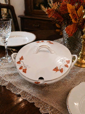 Royal China porcelain used in excellent condition
