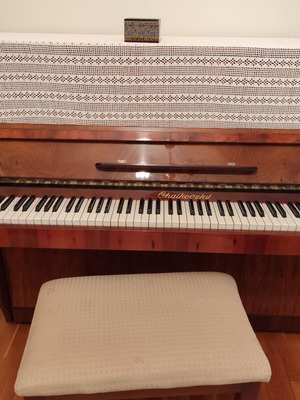 Chaikovsky Upright Piano used