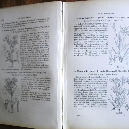 Handbook of the British Flora 2 volumes used, 1865