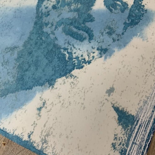 Pericles Cyanotype cyanotype like new, authentic
