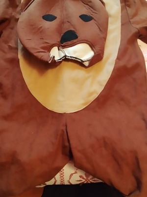 Bear costume for 6 years old used