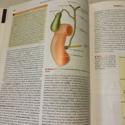 Berne & Levy Physiology University Textbook like new