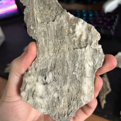 Gypsum crystals with bentonite inclusions from Patra new