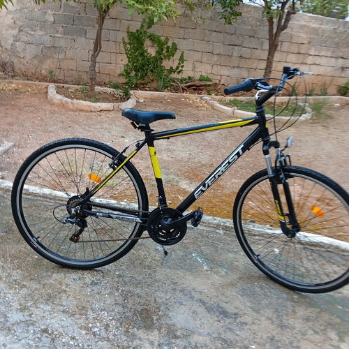 Everest Trail-cross 28 trekking bike, men's, gears