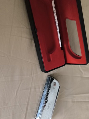 Harmonica professional Chinese new