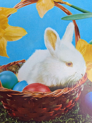 Vintage Easter postcard from the 70s new