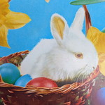 Vintage Easter postcard from the 70s new