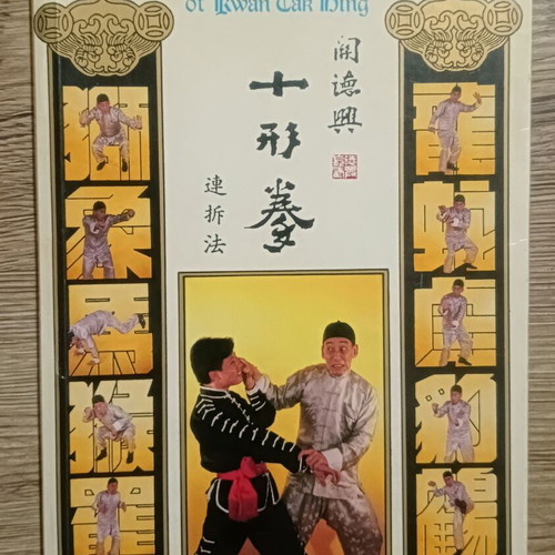 Shaolin martial arts book used with English movement explanations