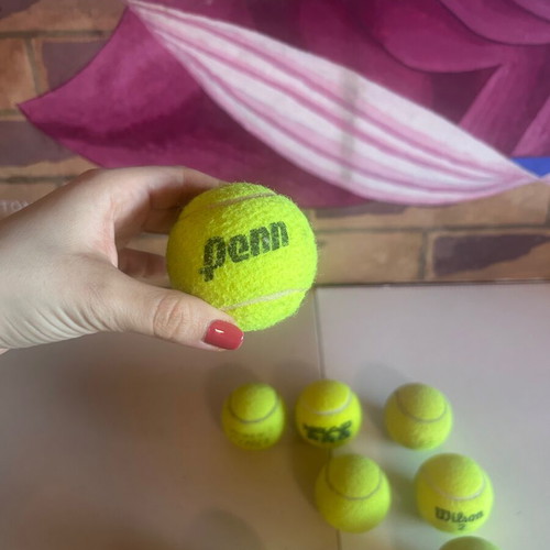 Tennis ball set of 8 with mesh carrying bag, Wilson, Head Pro, Penn