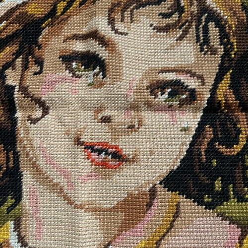 Handmade embroidery like new, framed 0.49x0.36