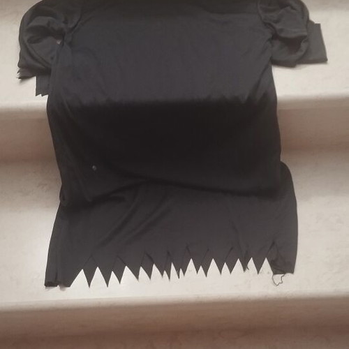Carnival costume like new