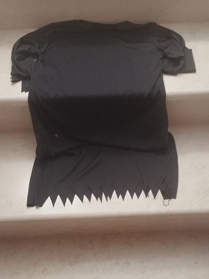 Carnival costume like new