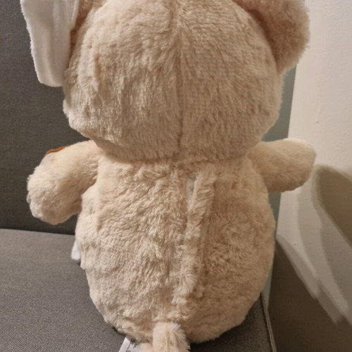 Sick Bear plush like new with accessories and instructions