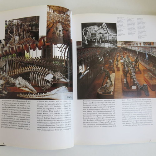 Beaux Arts magazine used for National Museum of Natural History 1994