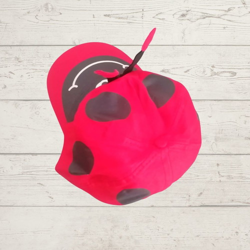Children's hat with 3D ladybug figure, size 56, new
