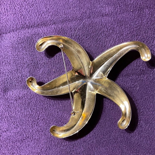 Pin in star shape with beautiful details