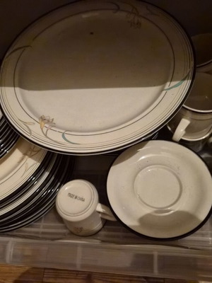 Σετ σερβίτσιο φαγητού stoneware ιβουάρ με μαύρη ρίγα και floral μοτίβο, καινούργιο