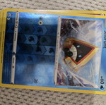 Snorunt card new