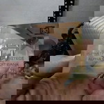  Διαφημιστικό της ALPHA BANK
