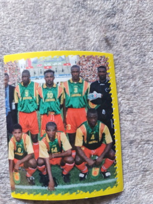 Cameroon World Cup 1998 collectible sticker like new