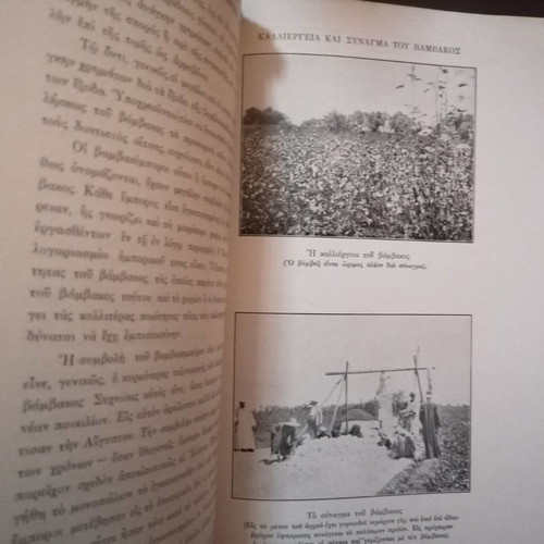 Hellenism and Modern Egypt Volume B used