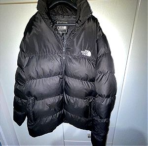 The north face puffer 700