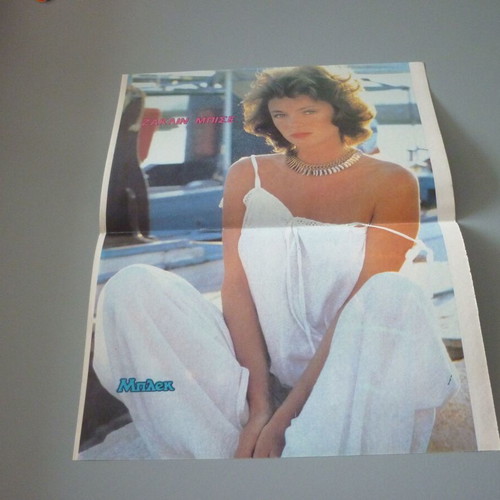 Steve McQueen Jacqueline Bisset Double Collectible Poster used